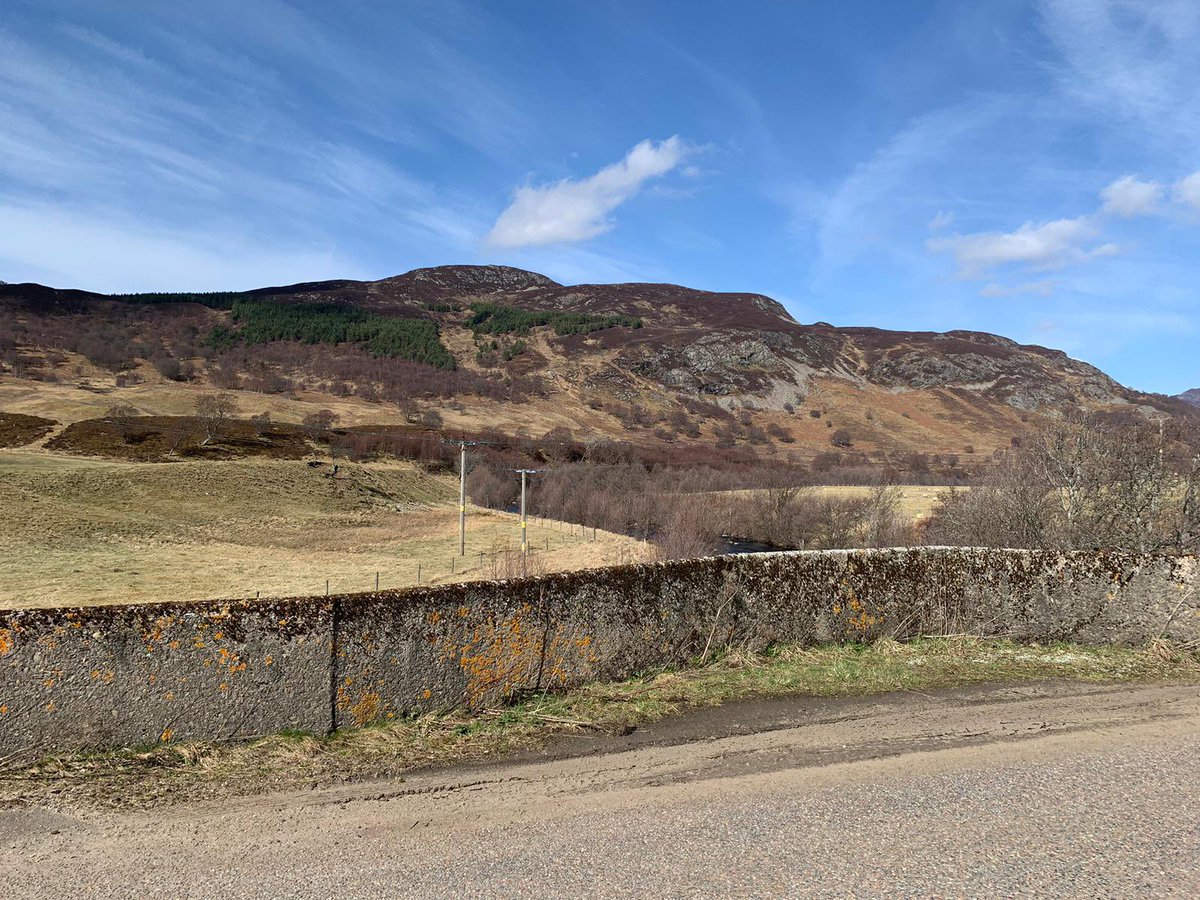 Mini Warriors tweet media