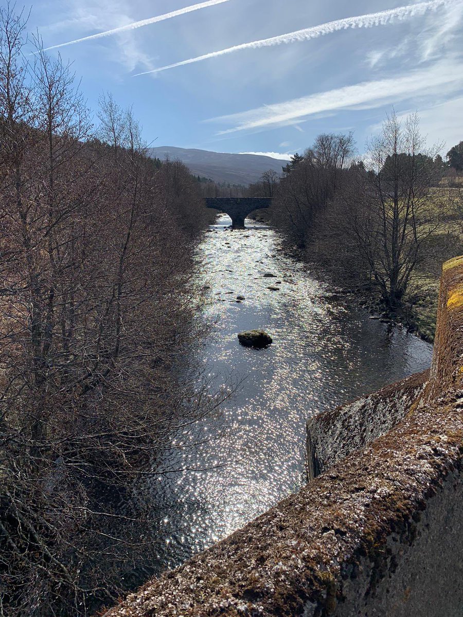 Mini Warriors tweet media