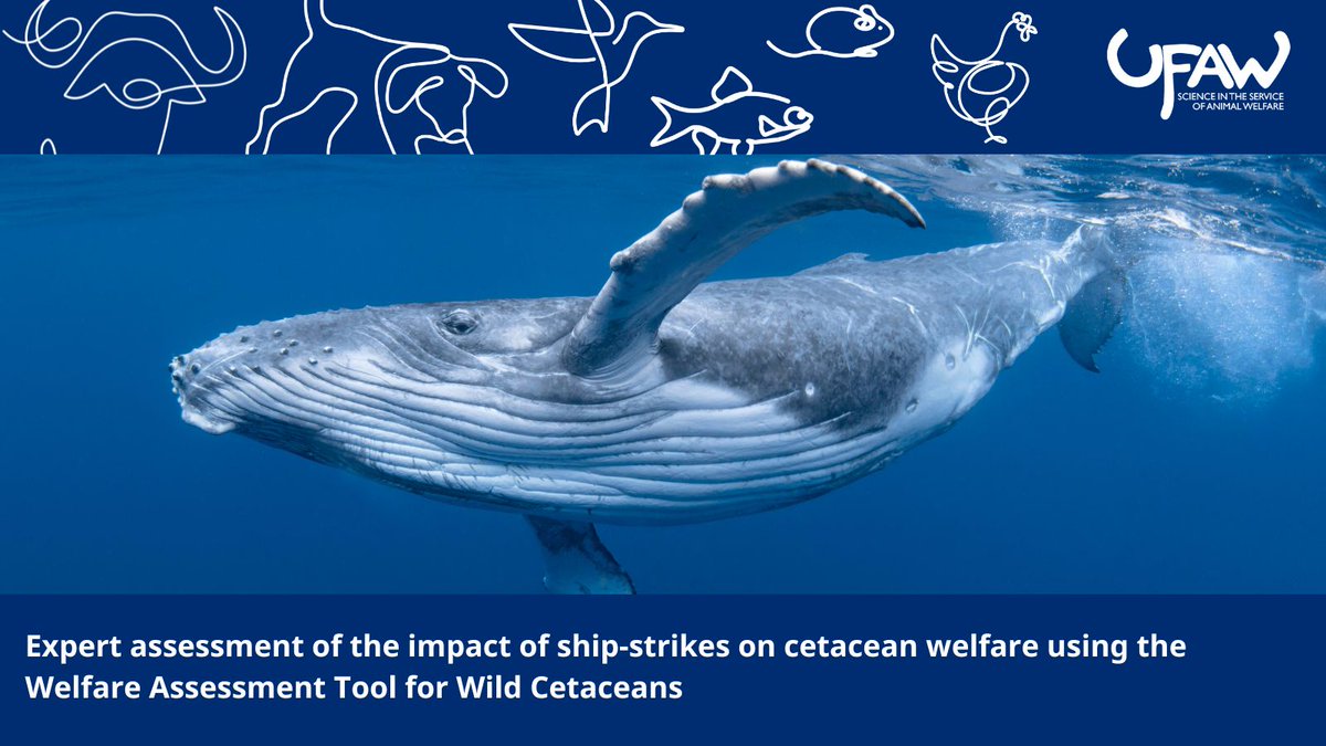 Animal Welfare_The Journal tweet media