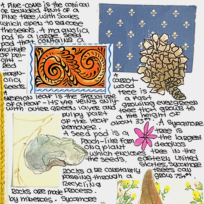 29pieces's tweet photo. THIRD of 4 NEW LESSONS by https://t.co/dP6FkP6rYf produced by https://t.co/WYh0a5PnWO &amp; 12 gifted teachers nationwide, launches on INSTAGRAM tomorrow. ❤️ JOURNAL YOUR OBSERVATIONS joins our 12 art-based lessons for K-12.

#artlessons

Artwork Rancho Alamitos HS, Garden Grove, CA https://t.co/UO5imtqinx