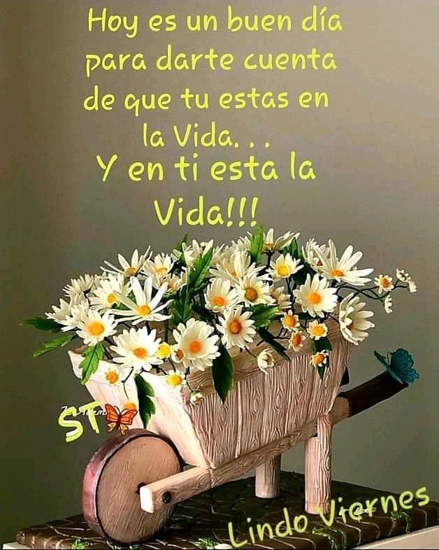 Excelente inicio de semana 🌻😍🙏🥰