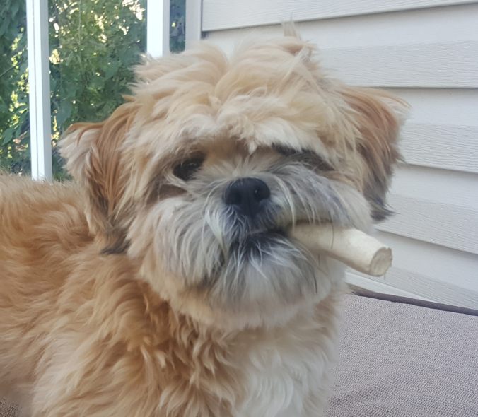 The Tentative Apologist tweet media