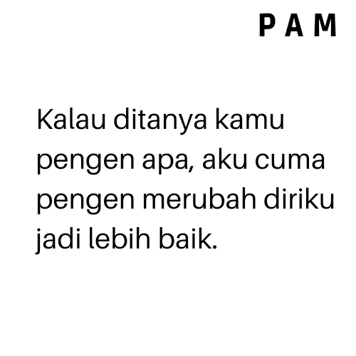 P A M tweet media