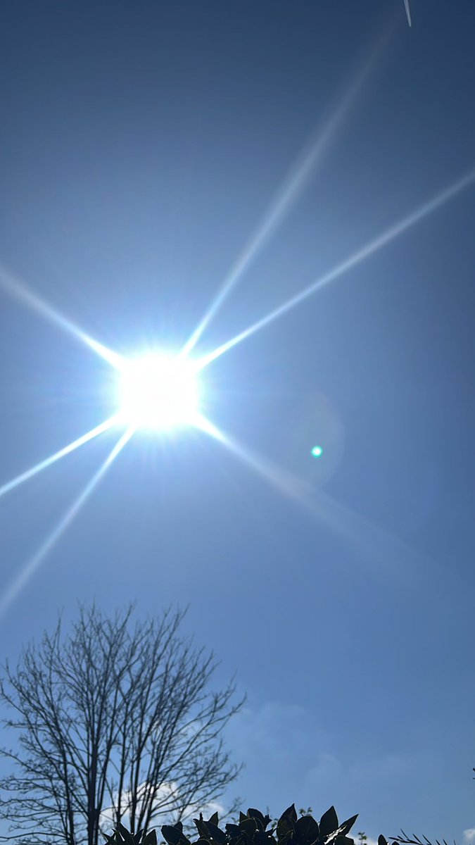 Bloody good to see this today!! So nice to be working outside with the sun out rather than dodging raindrops!!