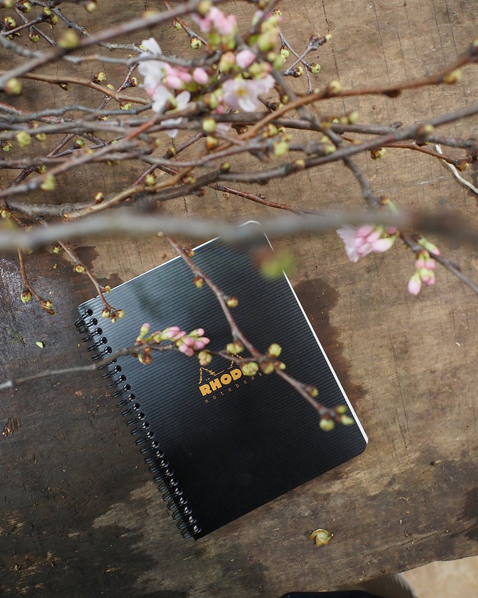 Rhodia UK Official 🇬🇧 tweet media