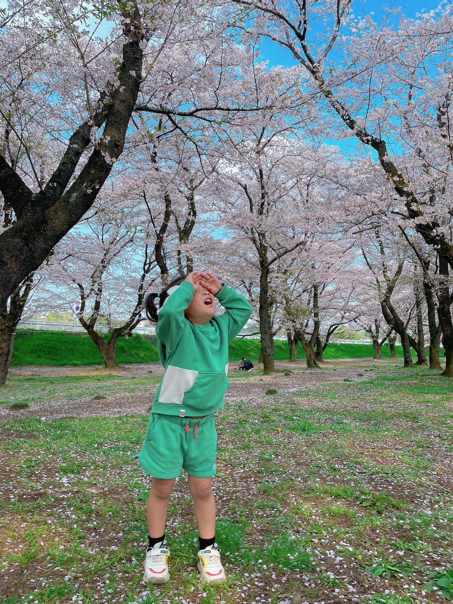 ymrt289's tweet photo. 気づけばもう4月になってた🥸☁️ 𓈒𓂂𓏸1年のうちの3分の1が終わったのかあ早いなあ〜。死ぬ気で一日で頭に叩き込んだテストも無事受かったし次は何頑張ろうかな〜。 https://t.co/wadOjHCb6r