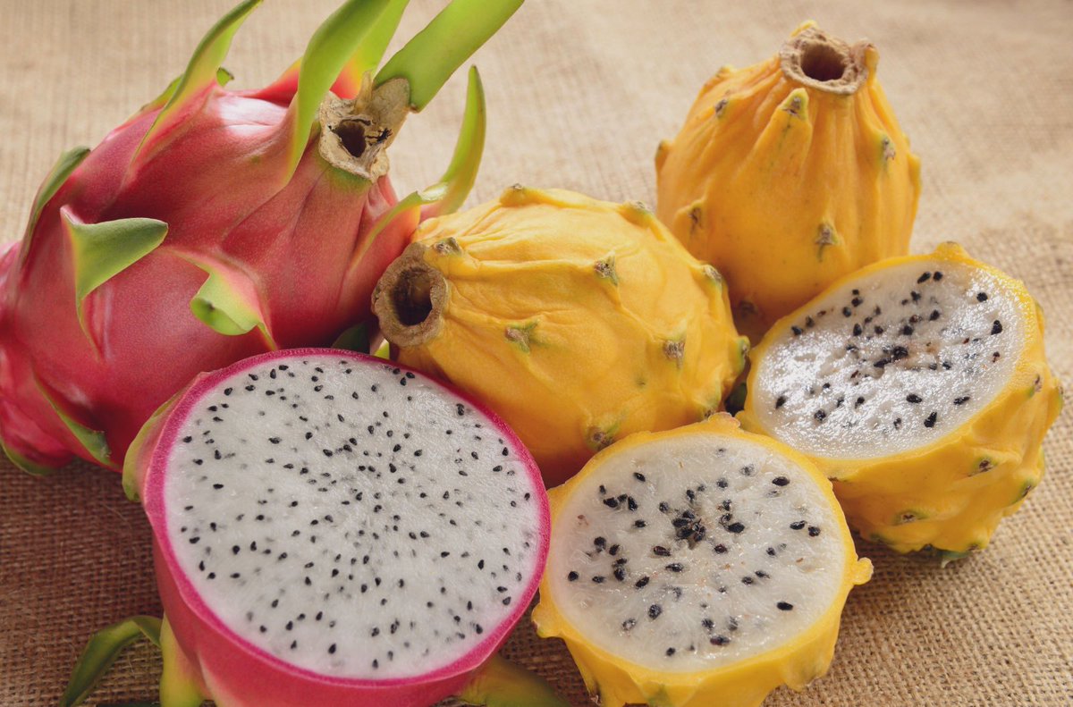 AgrocalidadEC's tweet photo. #BuenasNoticias ✅ | La pitahaya ecuatoriana ingresará al mercado de #China, esto gracias a que se cumplieron los procedimientos para que las empresas registradas en la Administración General de Aduanas inicien sus exportaciones conforme al protocolo suscrito 🇪🇨🇨🇳 https://t.co/XdKygvyIhi
