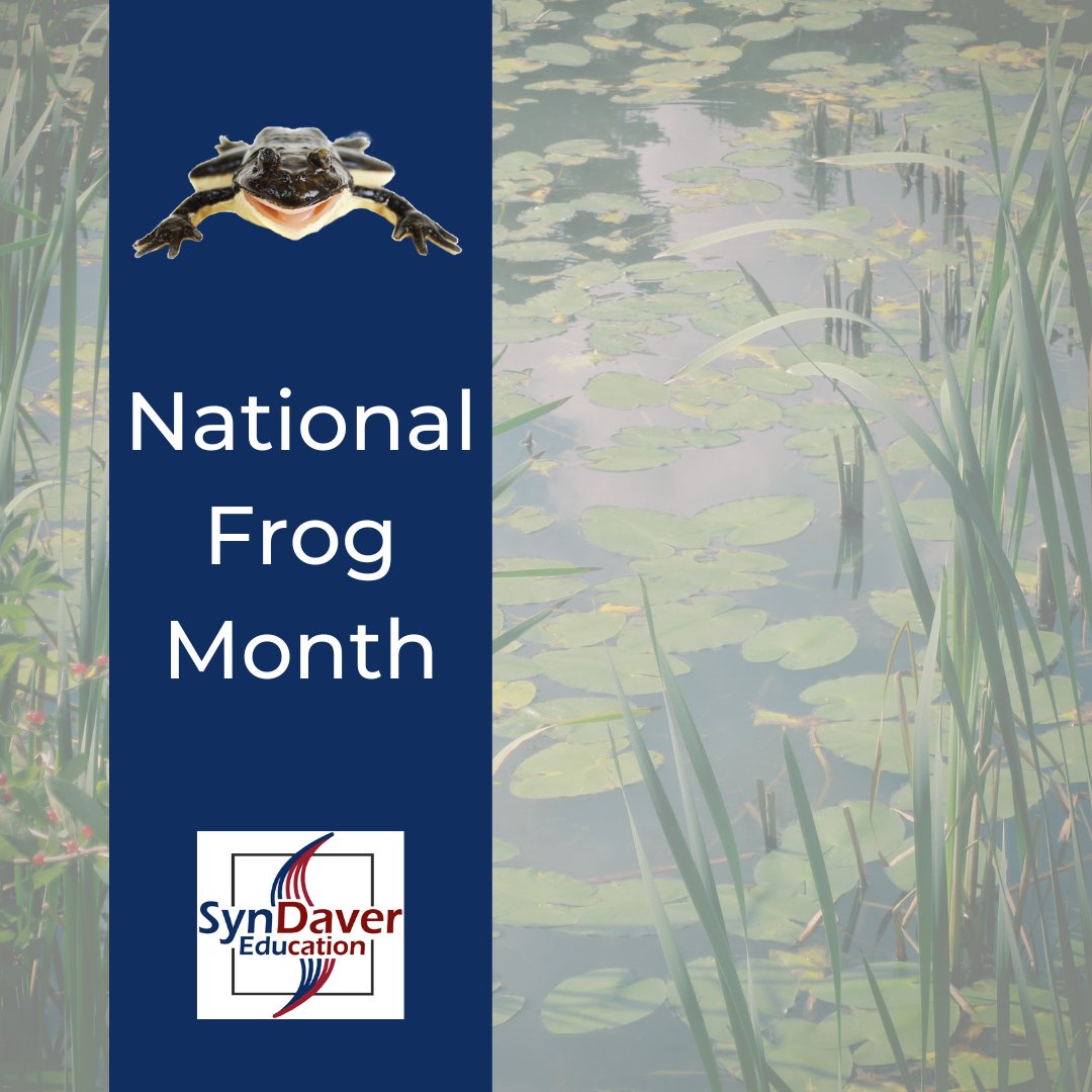 syndaver's tweet photo. April is National Frog Month!
Save the frogs and get a SynFrog of your very own. Our frog dissection model is a humane approach to frog dissections.
Learn more at https://t.co/Pmseaw6iCh.
#SynDaverEDU #FrogMonth #FrogDissection #SaveTheFrogs #SynDaver #Cadaver https://t.co/D0w2e9oxQC