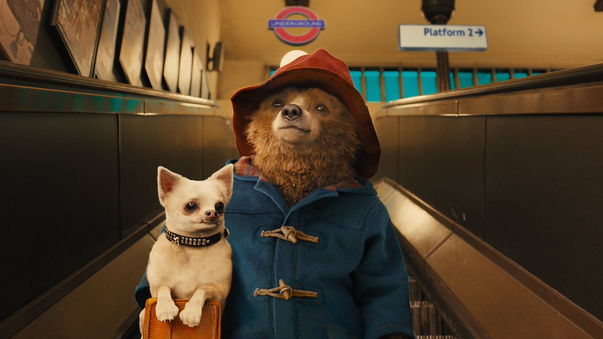 🐻 Paddington in Peru is officially set to begin production on July 24, 2023