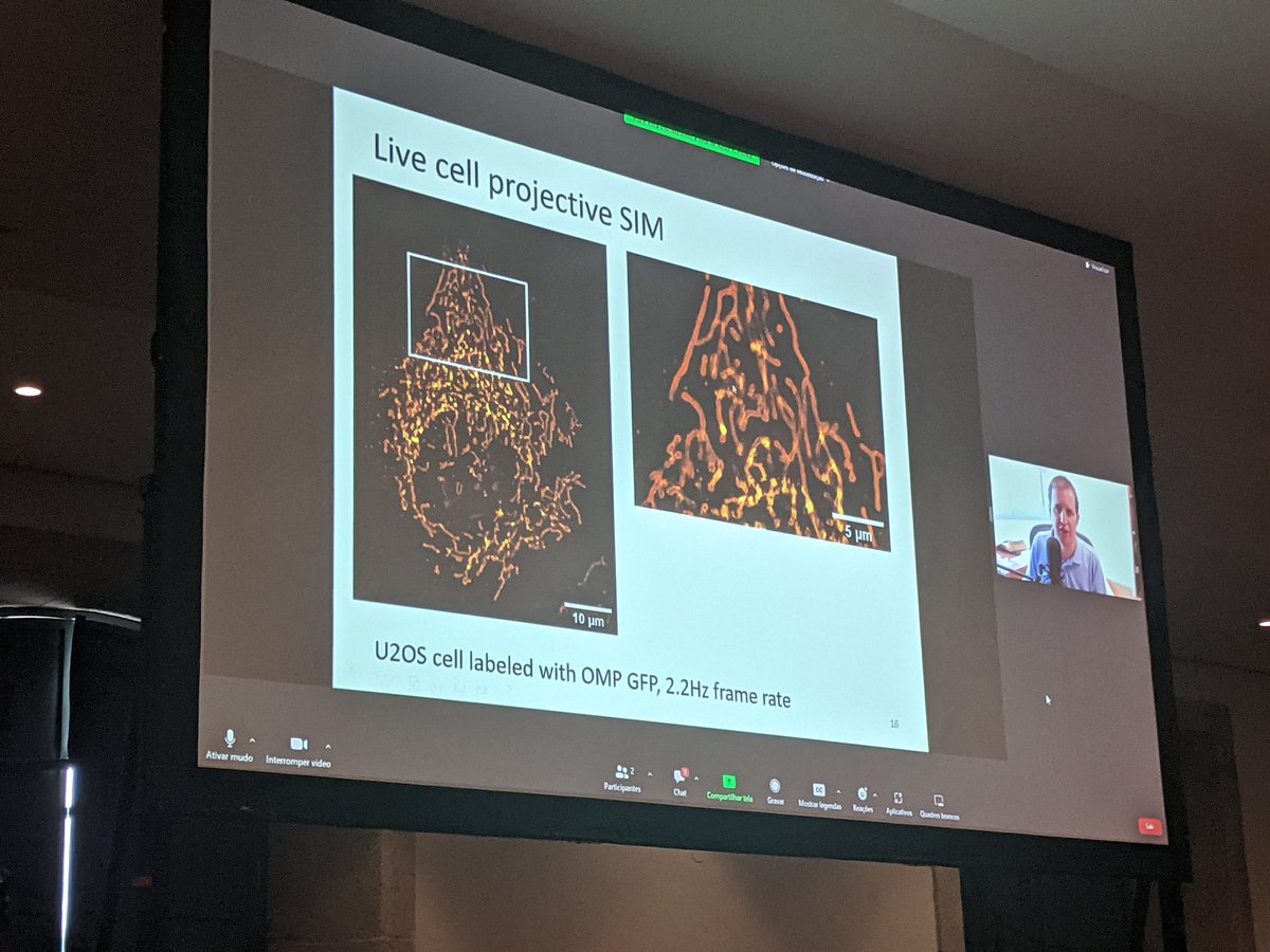 sara abrahamsson tweet media