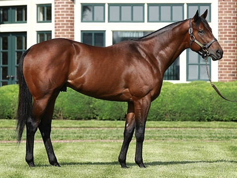 Kathie Roller-Stell tweet media