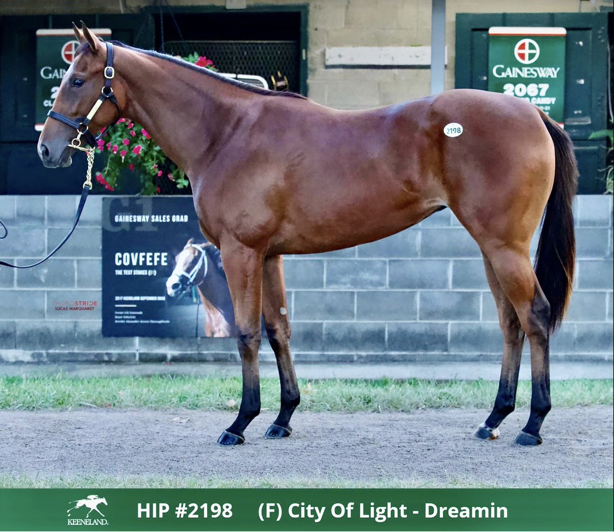 Kathie Roller-Stell tweet media