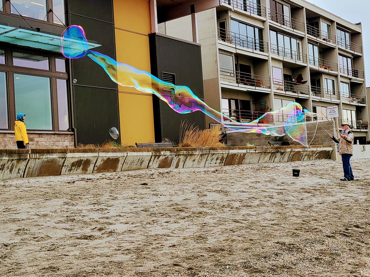 CarlSetzer's tweet image. #motus #365in2023dailyprompt #365in2023 #Edmonds