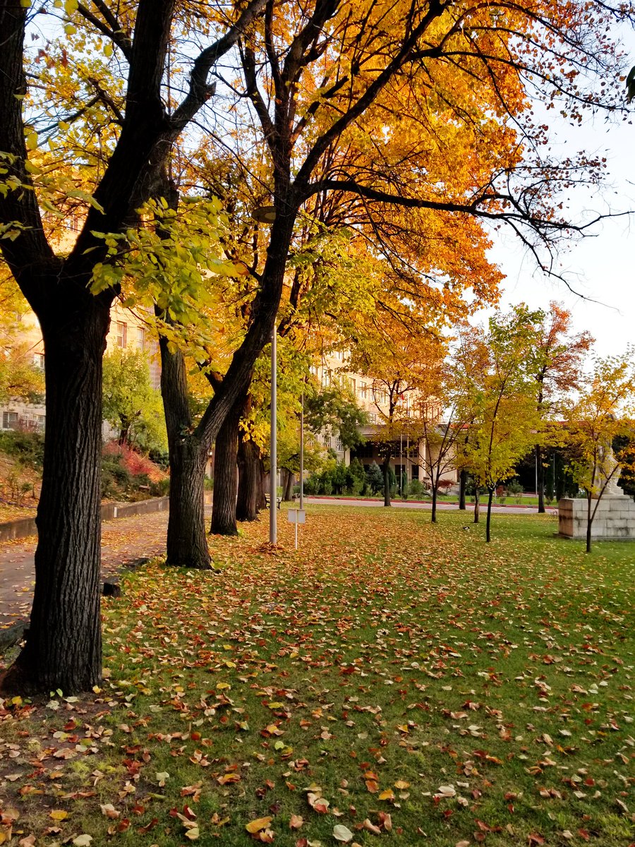 sky__wsp's tweet photo. 📍DTCF

#dtcf #Ankara #Turkiye #Turkey #photography #art #nature https://t.co/v0wCRtn5ao