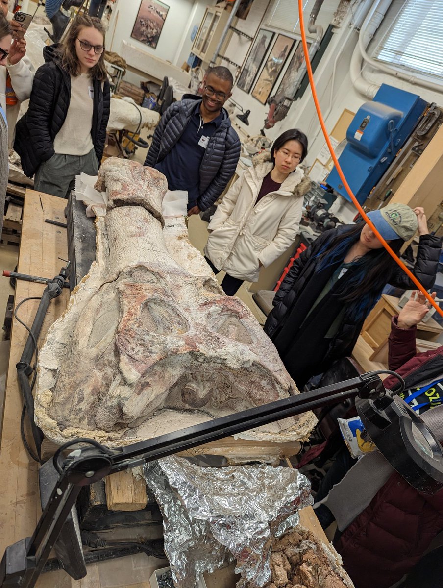 Katie Whitlow, PhD tweet media