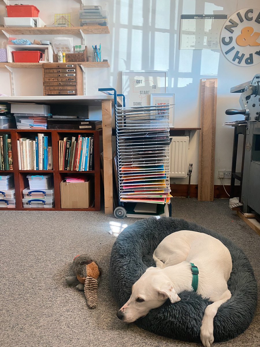 the best studio mate 🐶❤️