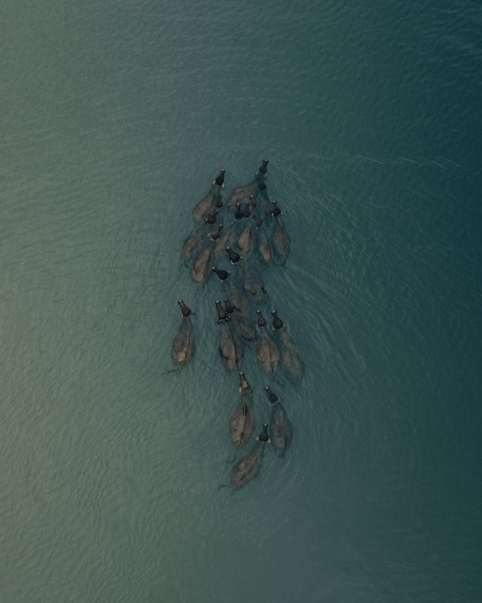 SavadMonk's tweet photo. @TIME once included my state Kerala among the magazine’s 100 best spots to visit.
Earlier this year, @NYTmag , has issued a feature of ‘52 places to go in 2023’ among which one is Kerala.

Have you visited Kerala?
@KeralaTourism 
@DJIGlobal 

#earth #kerala #nature https://t.co/JmDRrn3oM4