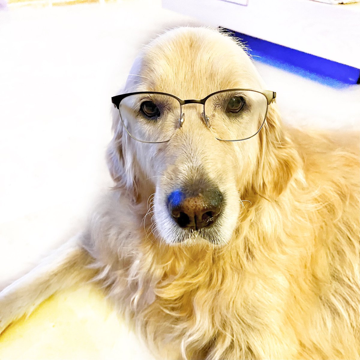 Sébastien Durand tweet media