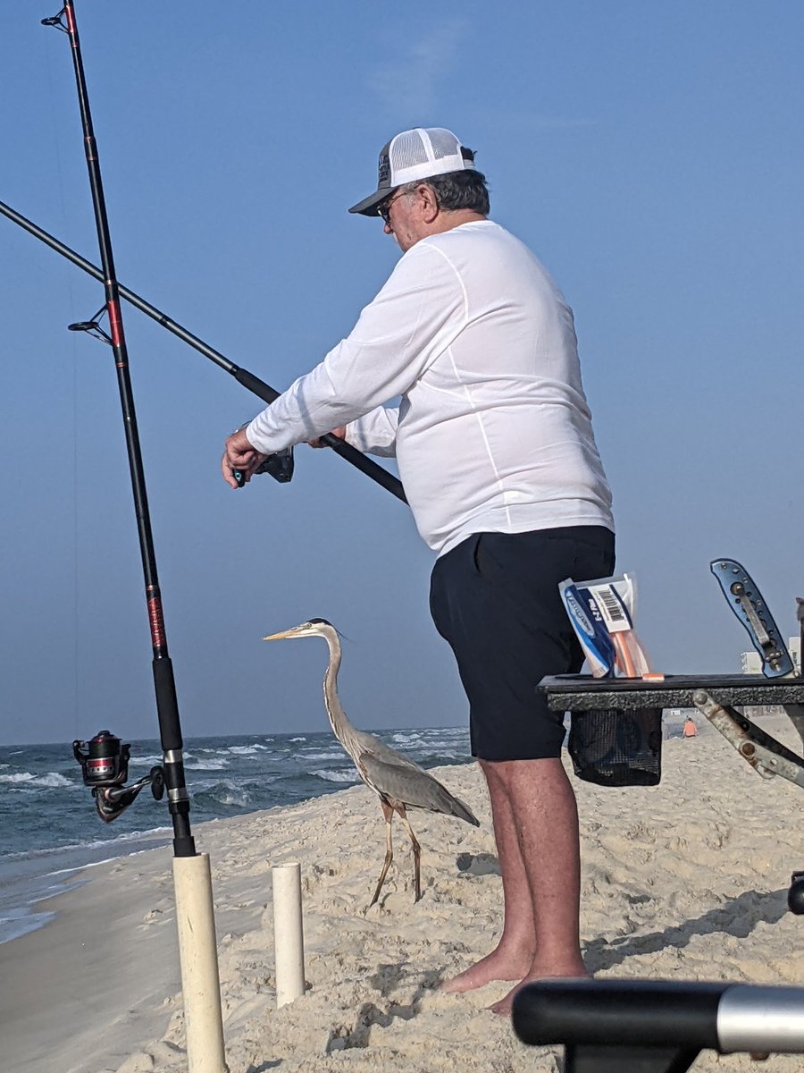 dfteach's tweet photo. Fred joined Dad for some fishing this morning.
#TeacherOnVacation
#BeachingNotTeaching
#BestMondayEver
#GulfofMexico https://t.co/Mh91AYWNju