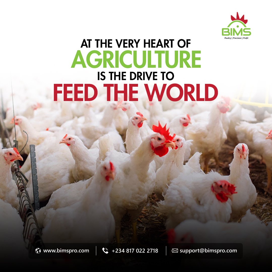 Bimspro_'s tweet photo. #MondayMotivation
"At the very heart of agriculture is the drive to feed the world." - Ben Potter

Find out about our agfintech solutions at https://t.co/XOtEJiavuH 

#BIMS #Motivation #Broiler #Poultry #Precision #Profit #agfintech #agritech #agric  #food #chicken #farm #fao https://t.co/37gt5oF10A