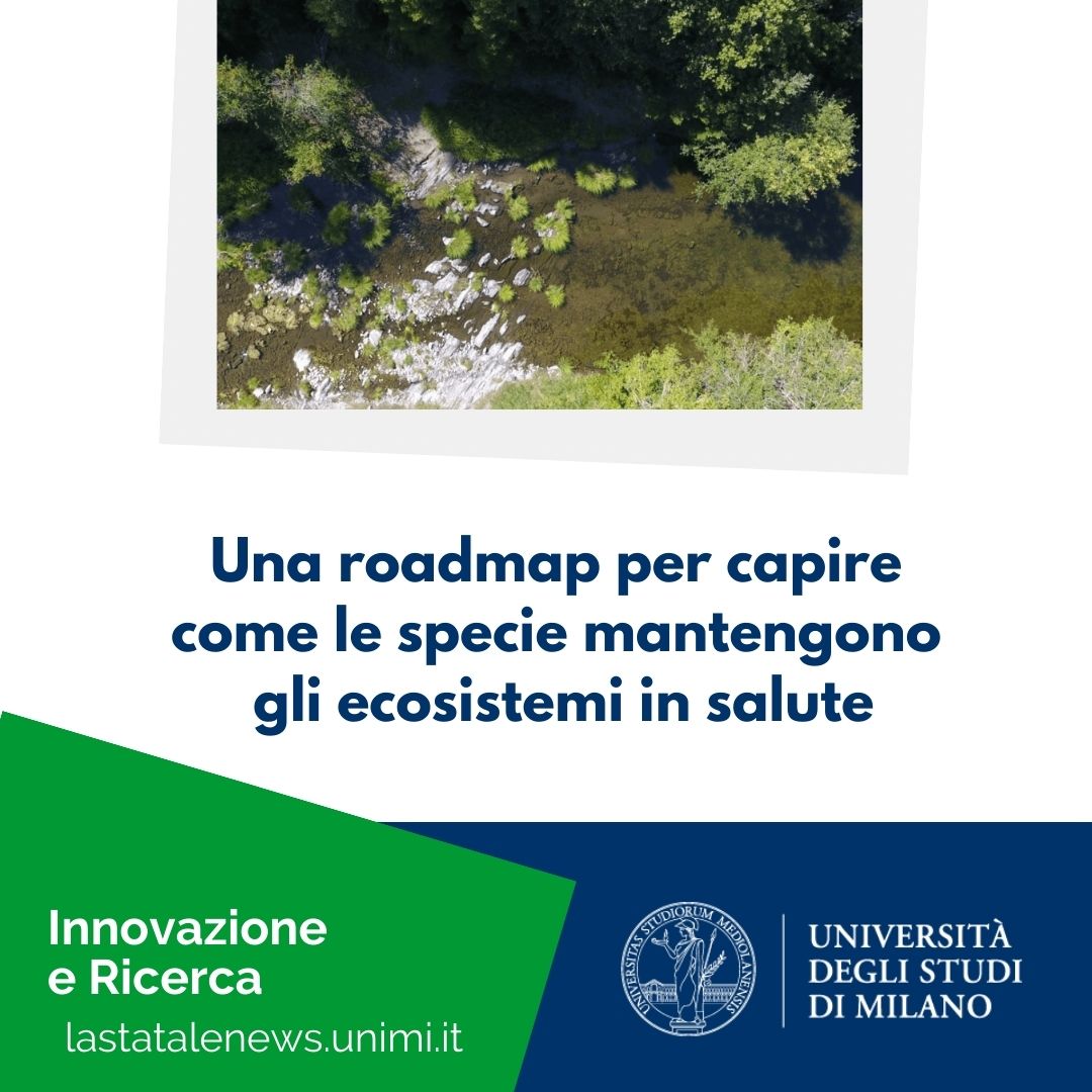 Uno studio de <a href="/LaStatale/">Università degli Studi di Milano</a> analizza i meccanismi e le interazioni con cui le specie mantengono gli ecosistemi in salute, a partire dal ruolo dei cosiddetti “ingegneri ecosistemici”, le specie che riescono a modificare l'ambiente in cui vivono 👉 bit.ly/3nHg1Q3