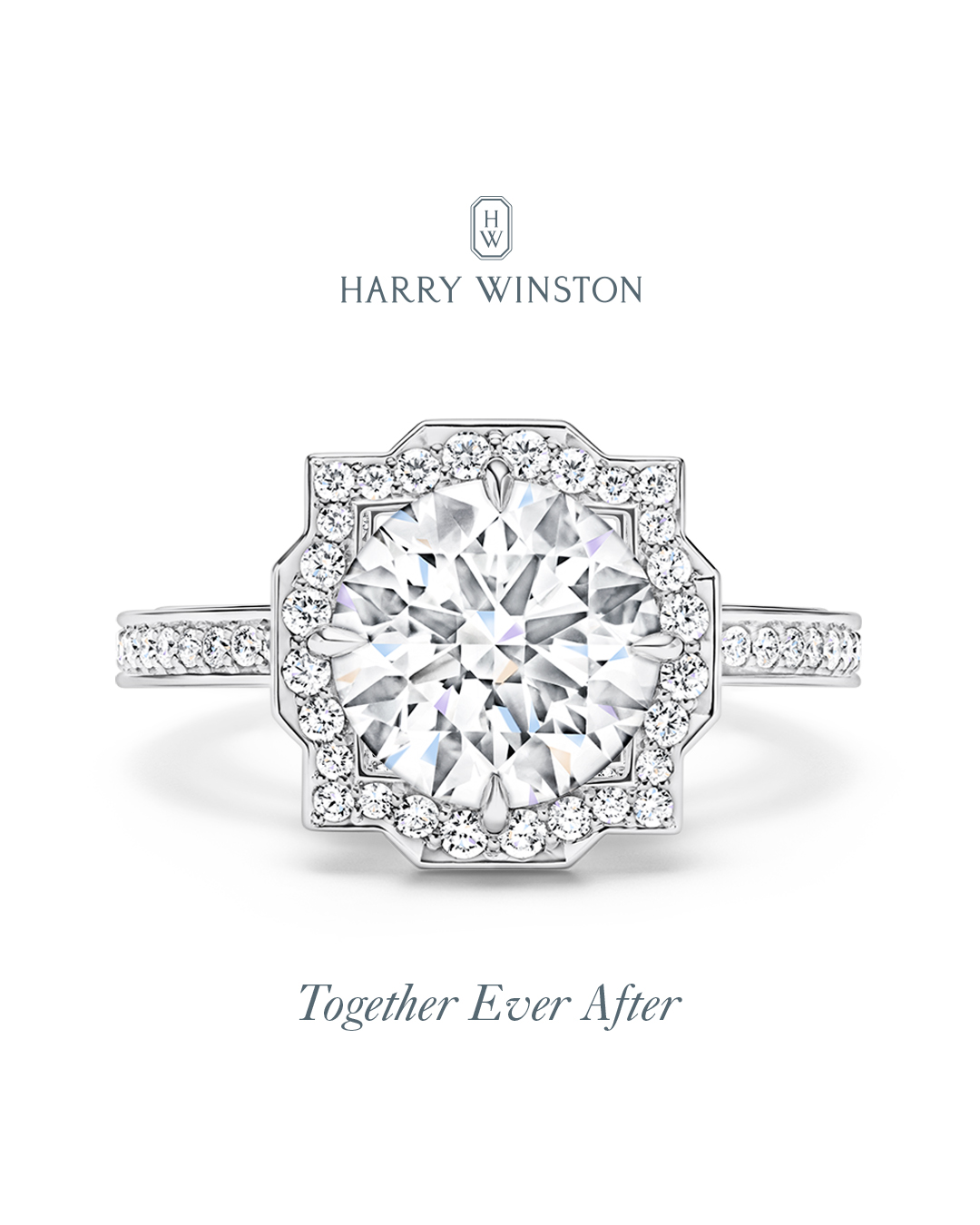 Belle shop harry winston