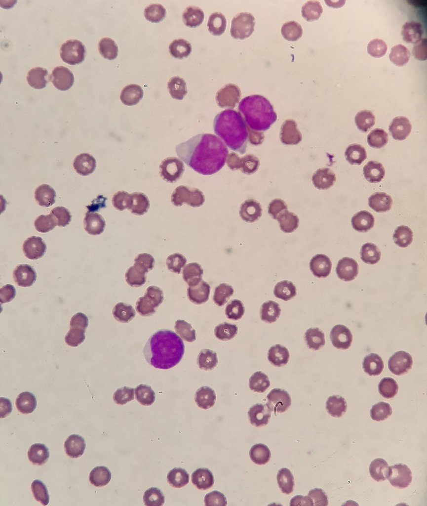 yourmytabi's tweet image. 