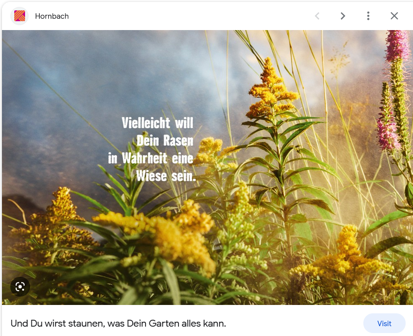 Ja vielleicht möchte der Rasen eine Wiese sein... aber bestimmt möchter er keine invasiven Neophyten darin.😱
#Goldrute #hornbach