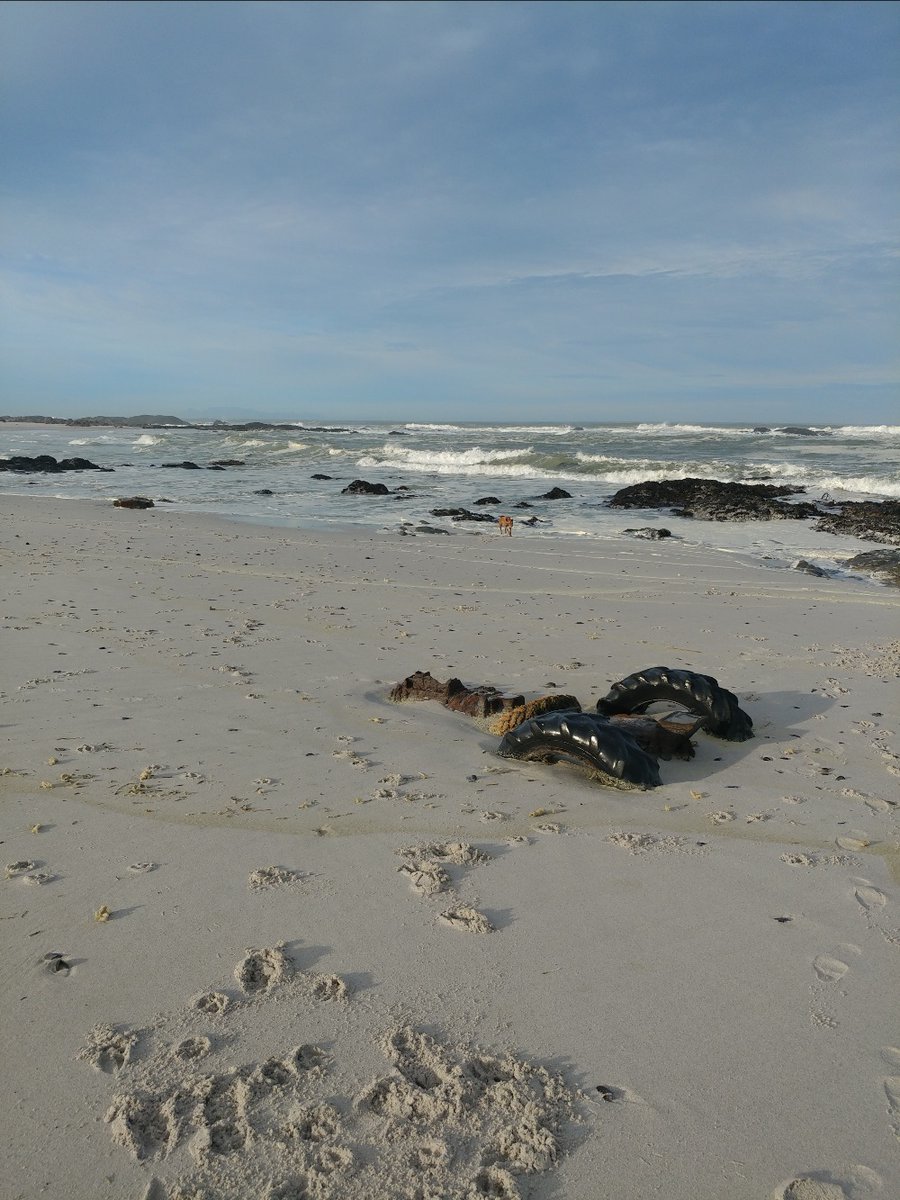 I 💜 Weskus Newsletter - mailchi.mp/85d43db52b0d/i…

Click on Facebook Page Newsletter tab to subscribe.

PHOTO: Wessel Rauch