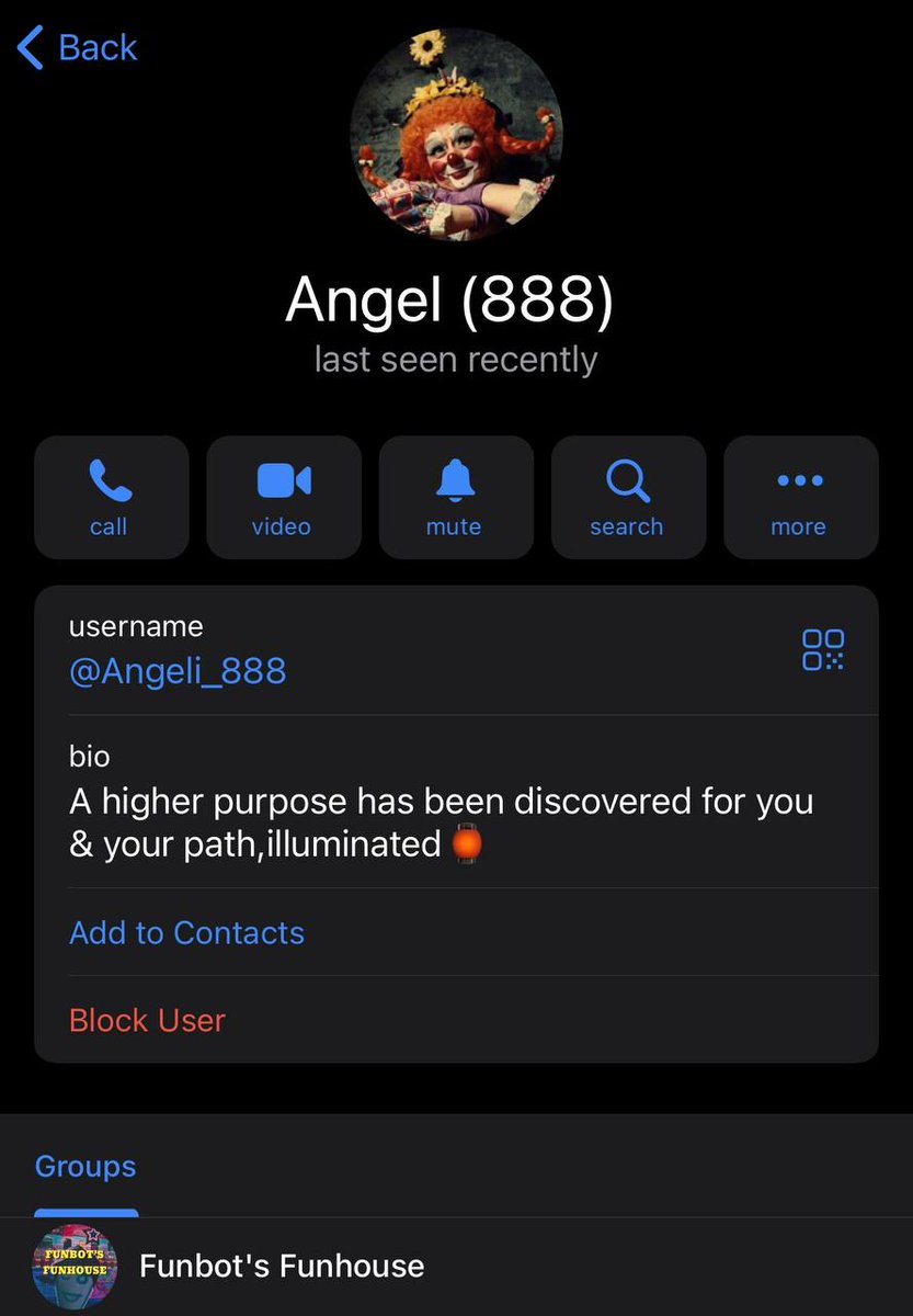 NftRangerz's tweet image. what&apos;s life without a little fun?  join us

#FunbotsFunhouse