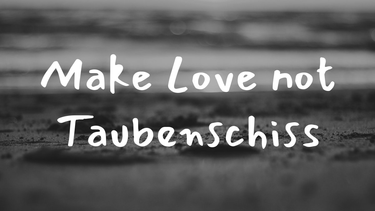 Make Love not Taubenschiss