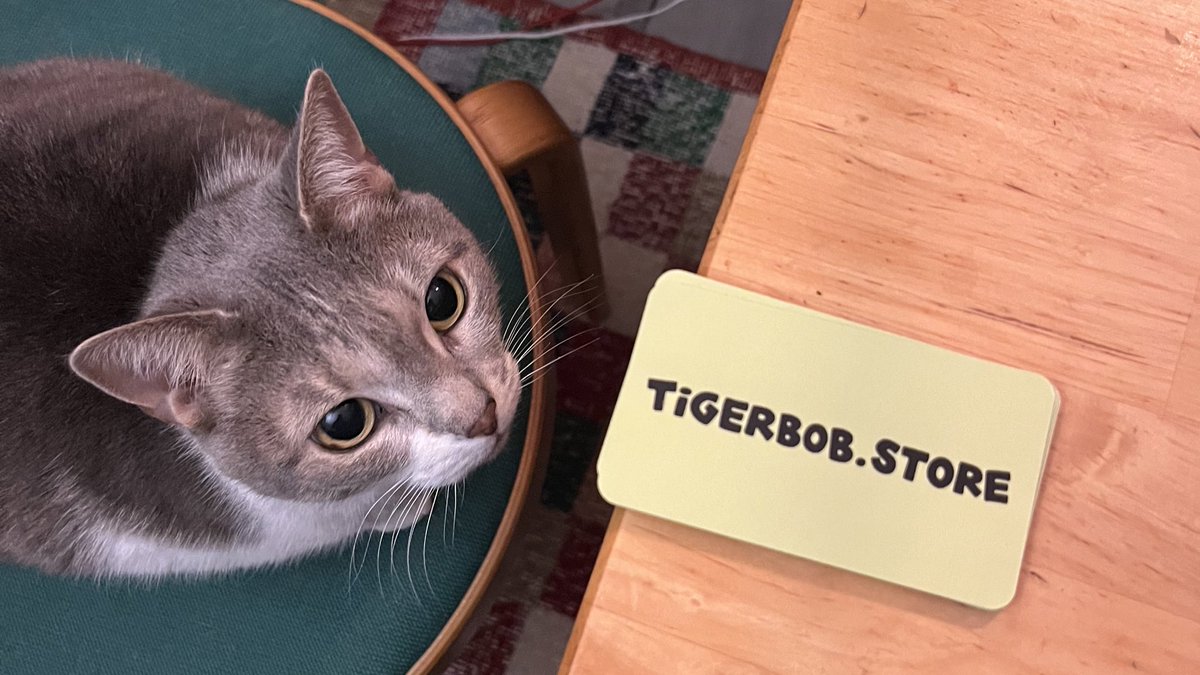 She approves. 🐯🧶❤️🤩 News about NFT NYC activations this week! Save the date - April 15! 👀❤️🔥