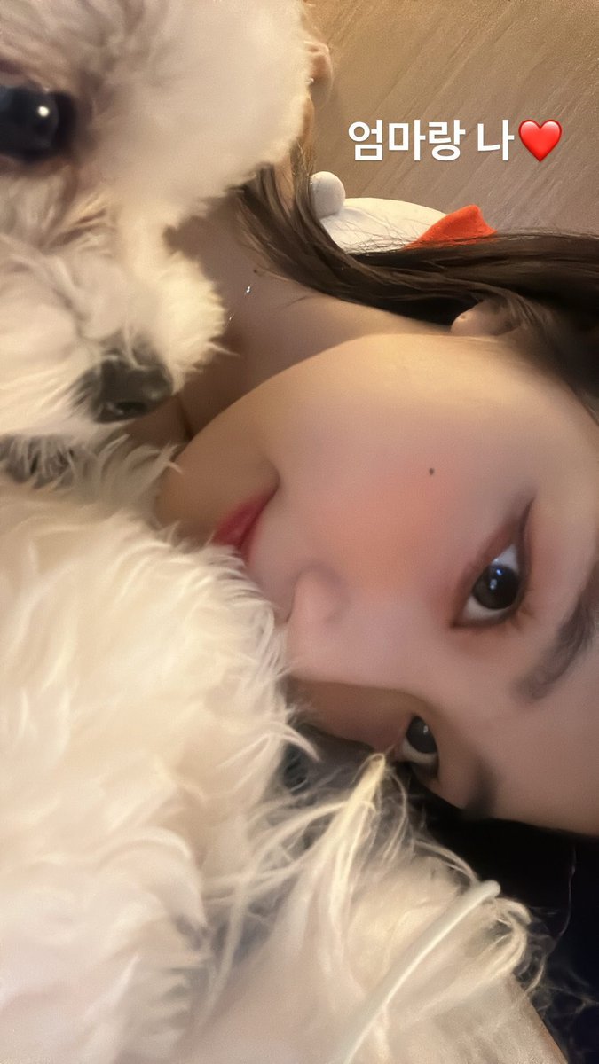 yeojinpics's tweet photo. 230403 🐻
©: doogong_joo
#이달의소녀 #여진 #yeojin https://t.co/TKL8NBcryA