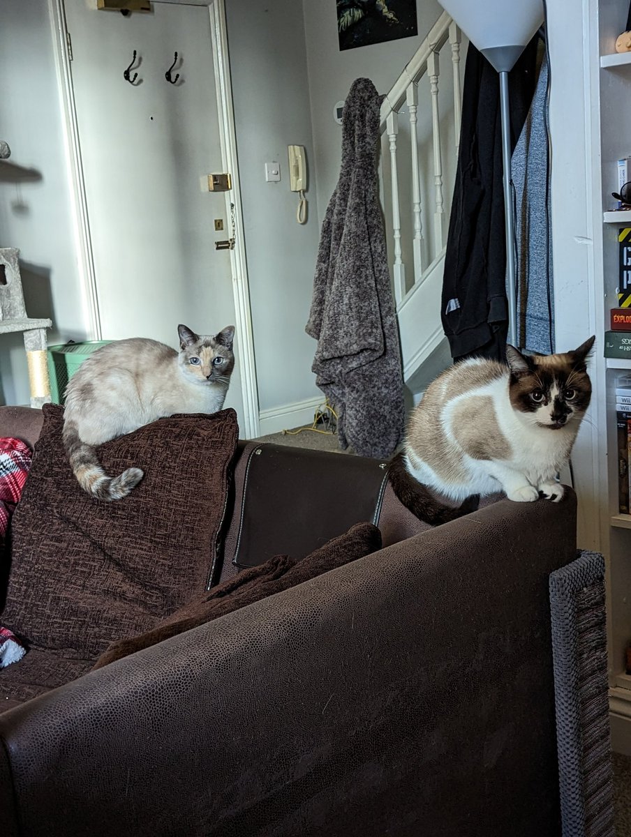 Soot Jack tweet media