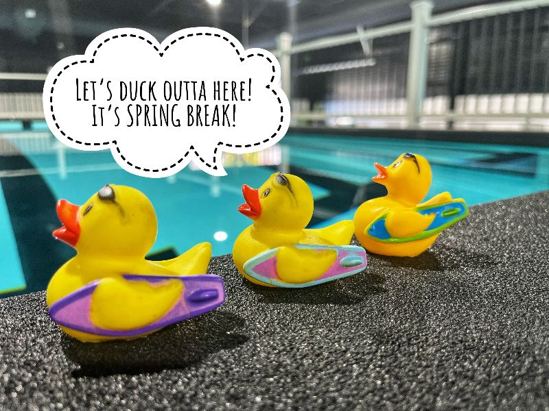 swimplified's tweet image. SPRING BREAK CLOSURE 🐰 🌸 🐣
Friday, April 7th - Sunday, April 16th - mailchi.mp/liquidlifestyl…