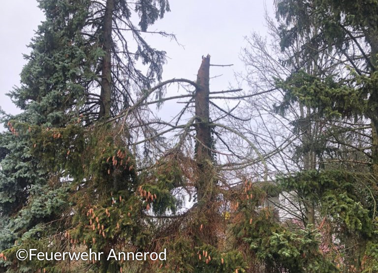 TorKUDde's tweet photo. 🟢 #Tornado in Annerod:
Am 26.03.2023 sorgte ein Tornado in #Annerod bei #Fernwald (#Hessen) für einige Schäden entlang einer mindestens 0.65 km langen Schneise. Mindestens 14 Dächer wurden beschädigt. Der Tornado wurde gefilmt.
⬇️ Mehr in der Analyse:
https://t.co/Y98KL8fla9 https://t.co/GP0iWlyUqb