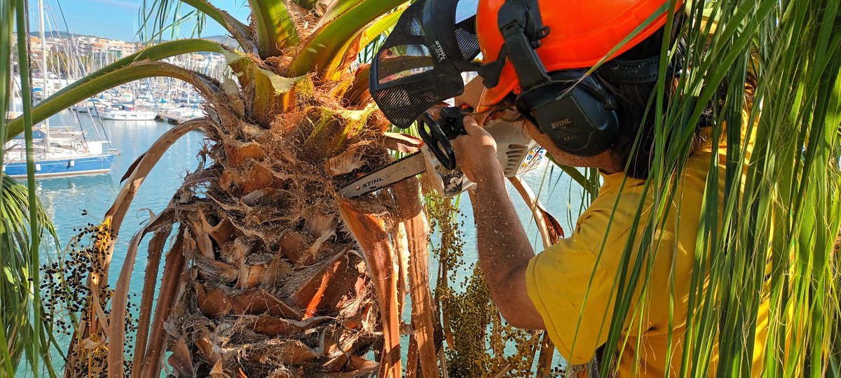 Us volem presentar la web del gremi, i amb ella, les empreses que en formem part! 
gremijardineriagarraf.cat