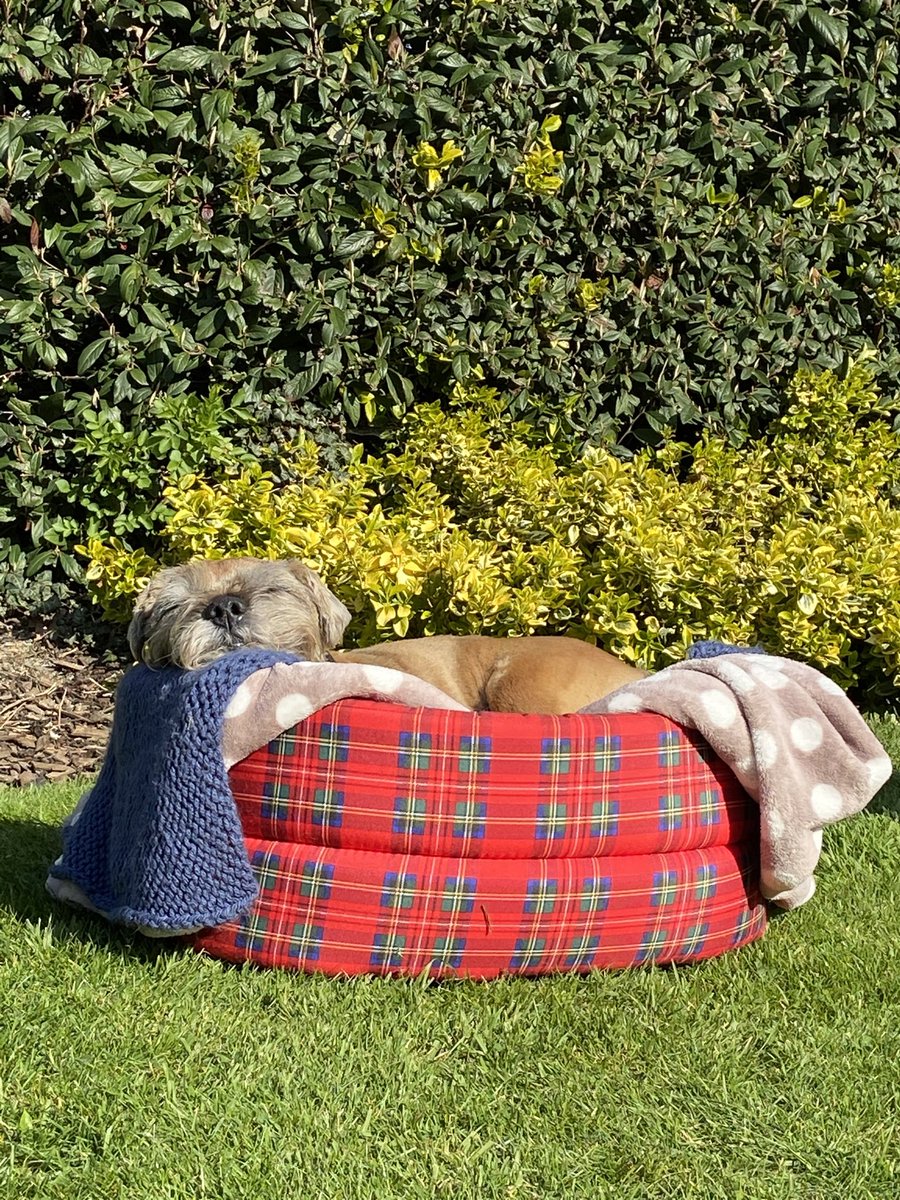 Calf Nutrition UK tweet media