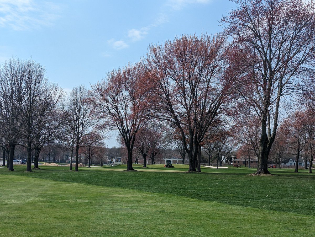 Beautiful day.  Three aerifiers poking holes, two topdressers chucking sand everywhere, maple trees budding.  Spring must finally be upon us!