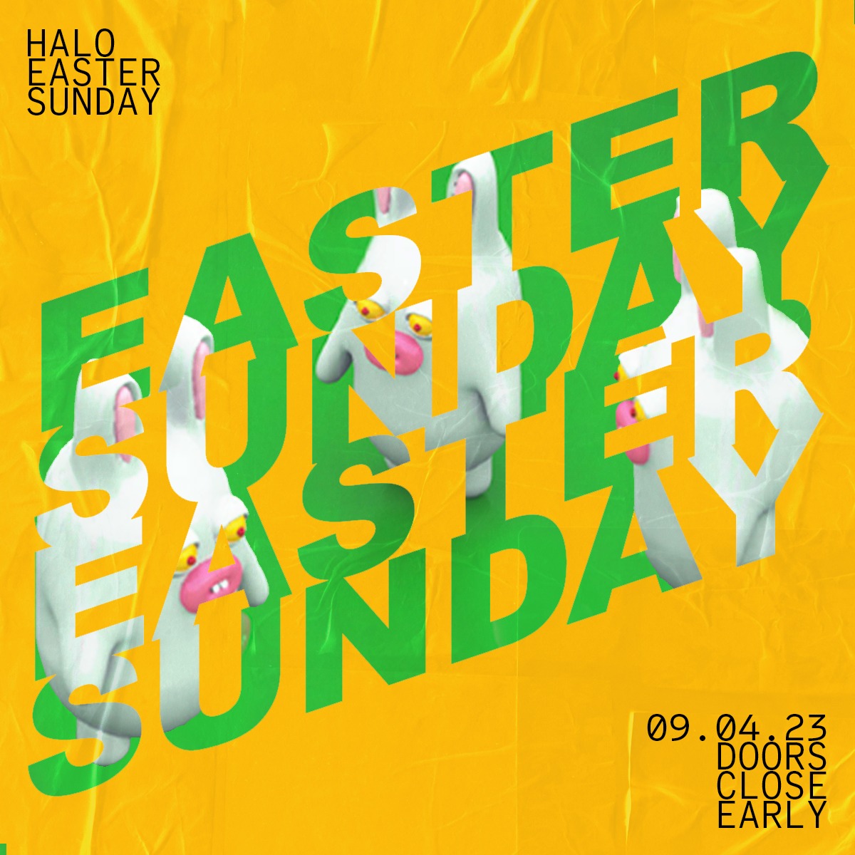 Halo Ballycastle tweet media