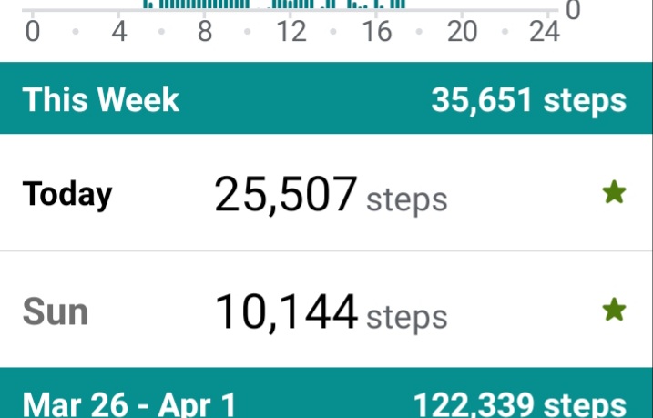 Day 93 #100DaysOfWalking No pictures but healthy stepcount for my day.  Great to get a good start on Monday. Just 1 wk to go to reach 100 for 2023