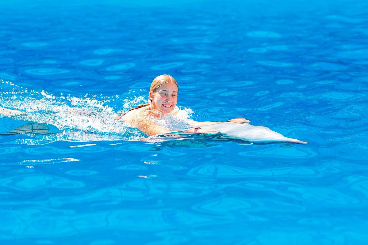 TrippsTravelNet's tweet photo. Have some fun and swim with the Dolphins https://t.co/HUcCoE6gVF