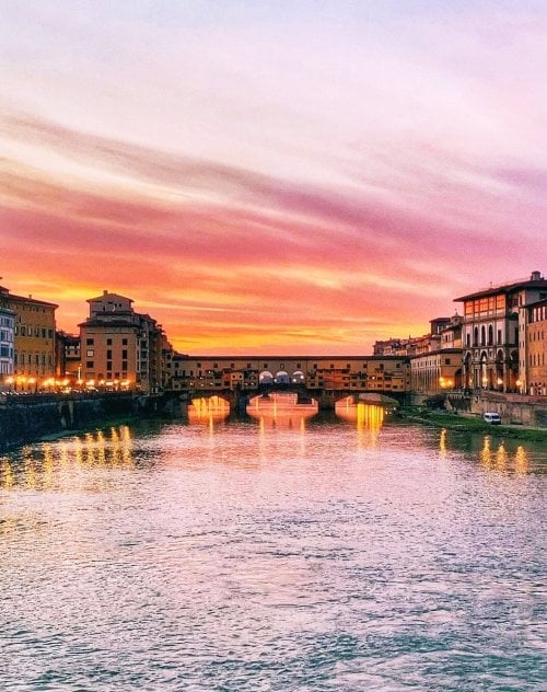 Francisco Ribeiro tweet media