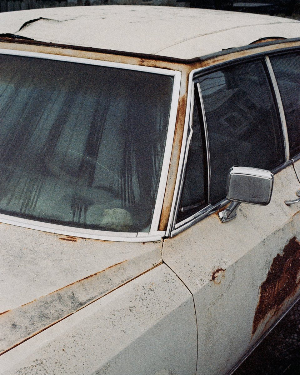 JustinPHofmann's tweet photo. Some shots from an expired roll of Kodak Ultramax https://t.co/2eEu61OACH