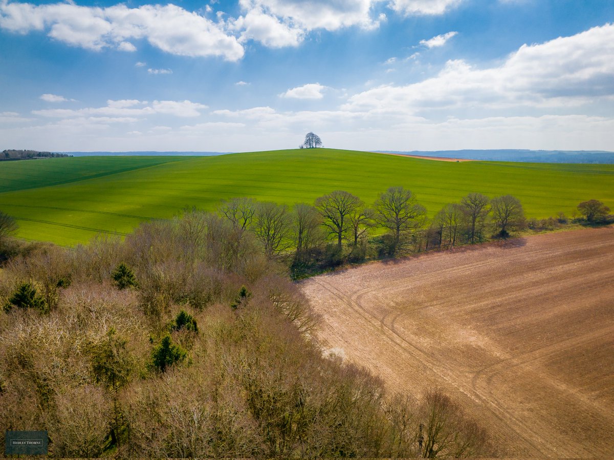 thorneh's tweet image. Spring has arrived in the shire! This is Brightwell Barrow. HedleyThorne.com