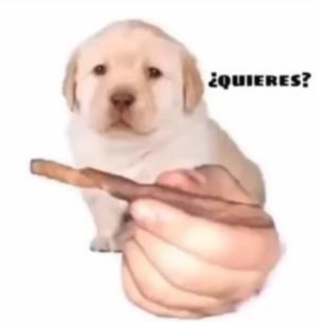 🔞 Bunchi ✦ (He/Him) tweet media