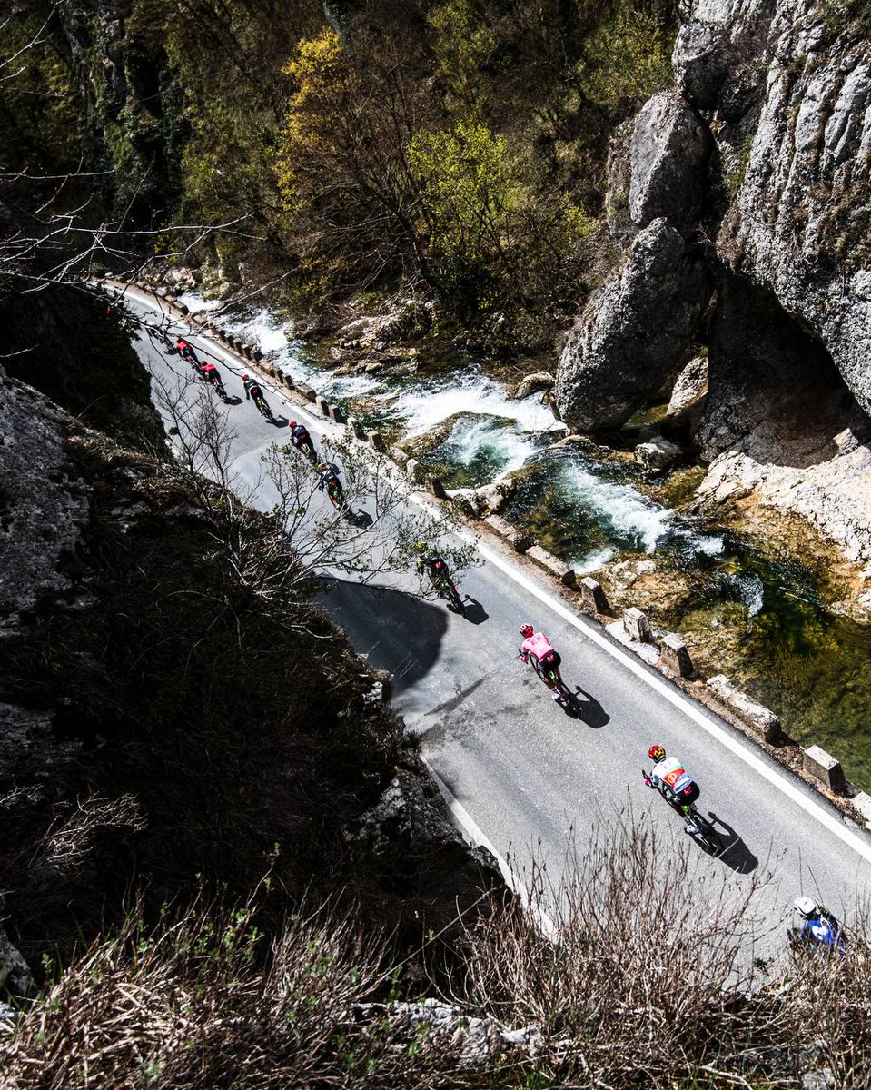 Fsz7Y_yWIA0wlxN?format=jpg&name=medium