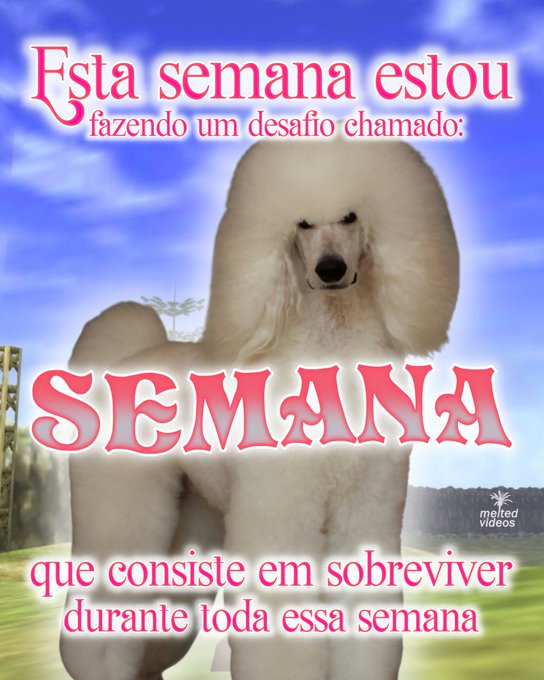 masturbe o cérebro e goze ideias (@diojodior) on Twitter photo 