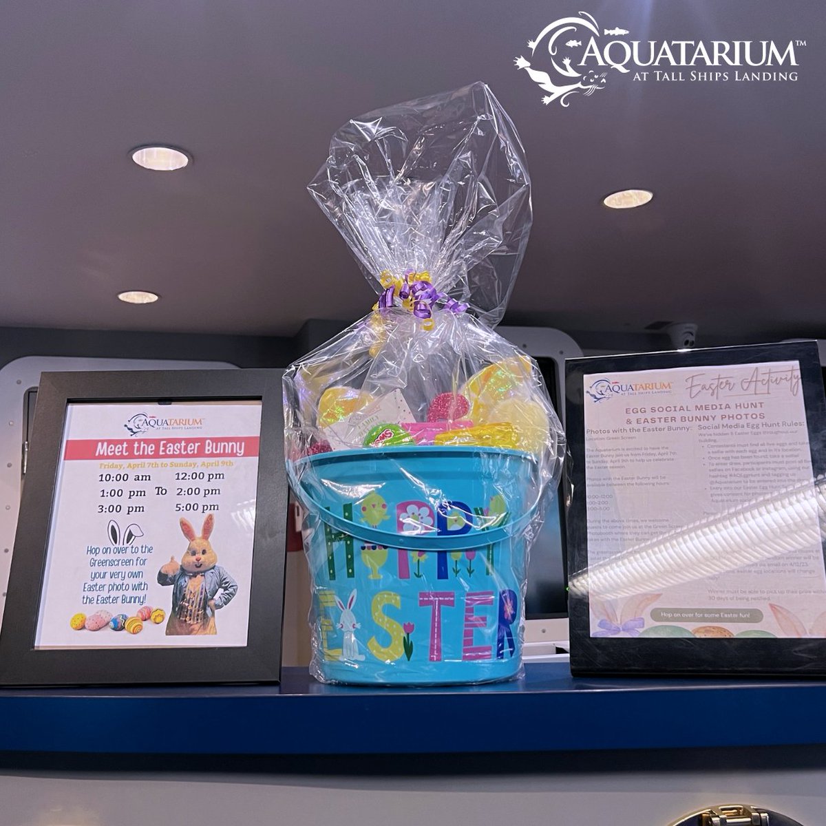 AQAquatarium's tweet image. Check out our Easter Basket prize worth $100. Find out more about our Aquatarium Easter Eggcitement events taking place this weekend and book tickets on our website at aquatarium.ca/Easter_2023/ today.

#AQEggHunt #EasterActivities #FunActivitiesForKids #Easter2023