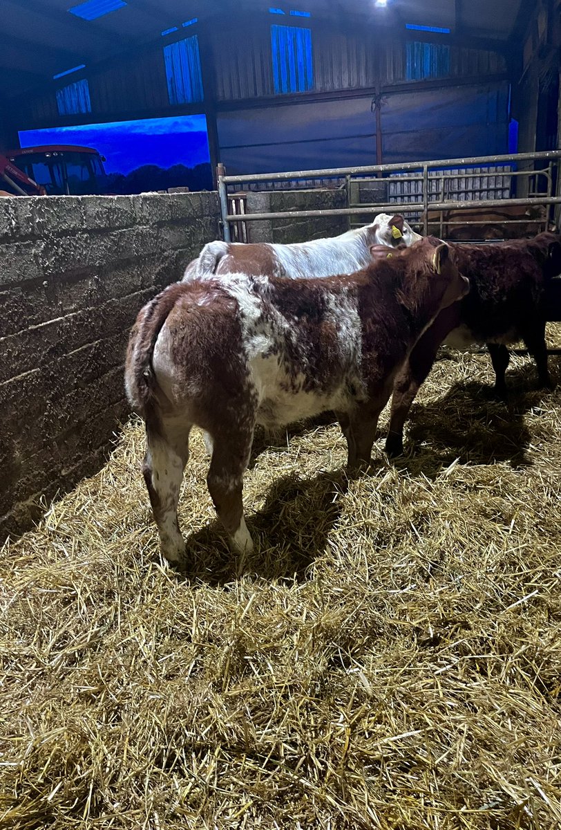 Colin McGrath tweet media